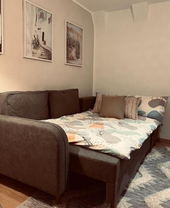 Gemuetliche Altstadtwohnung Mit Balkon Smart-Tv Erfurt Dış mekan fotoğraf